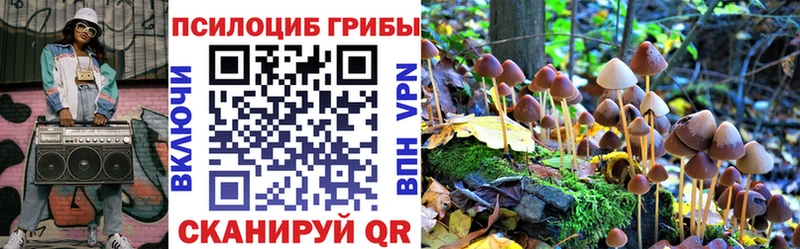 Псилоцибиновые грибы мухоморы  Болгар 