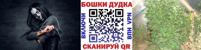 blacksprut рабочий сайт  Болгар  МАРИХУАНА OG Kush 